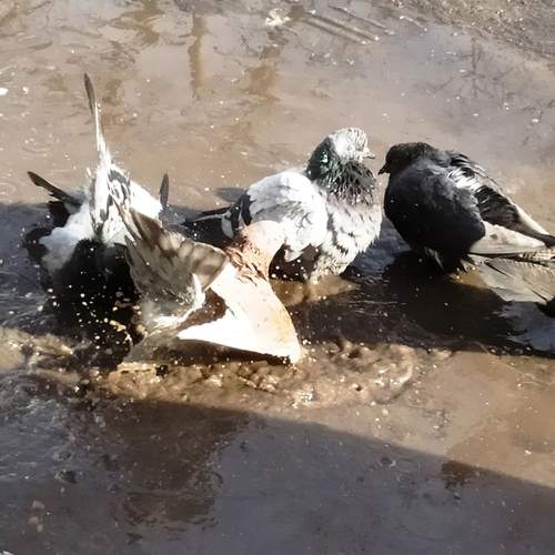 Photo #13692405