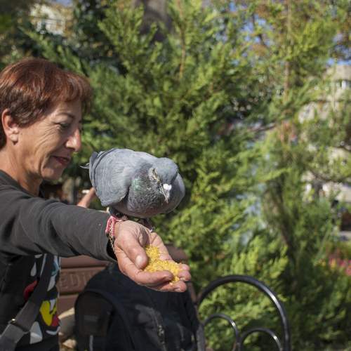Photo #13692412
