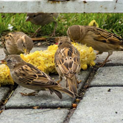 Photo #13692413