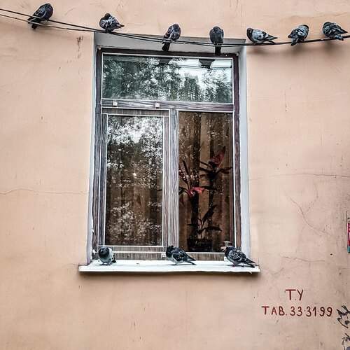 Photo #13692418