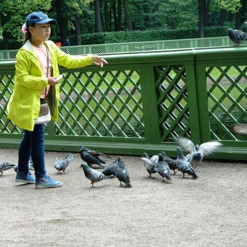 Photo #13692440