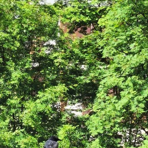 Photo #13692462
