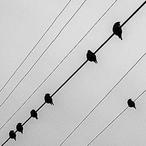Photo #13692482