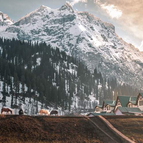 Mountain in Golden Hour