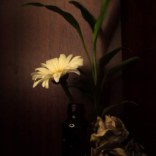 Photo #13692546
