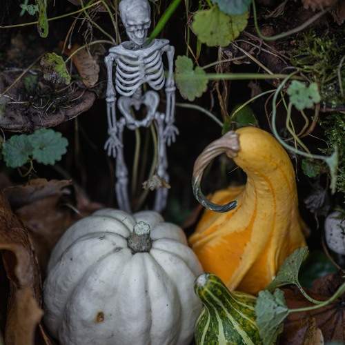 Photo #13692565