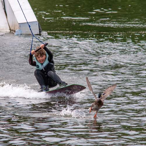 Photo #13692574