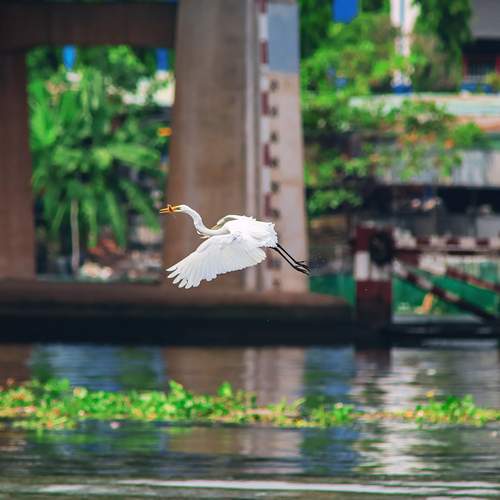 Photo #13692620