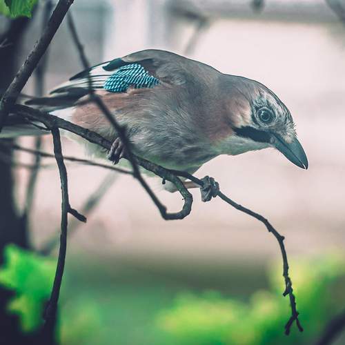 Photo #13692629