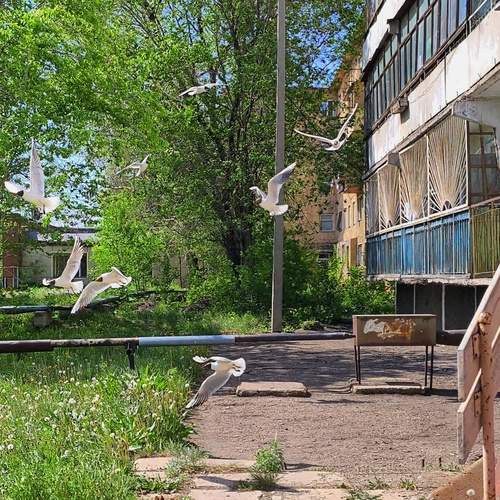 Photo #13692630