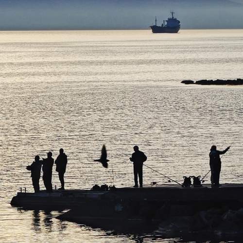Photo #13692660