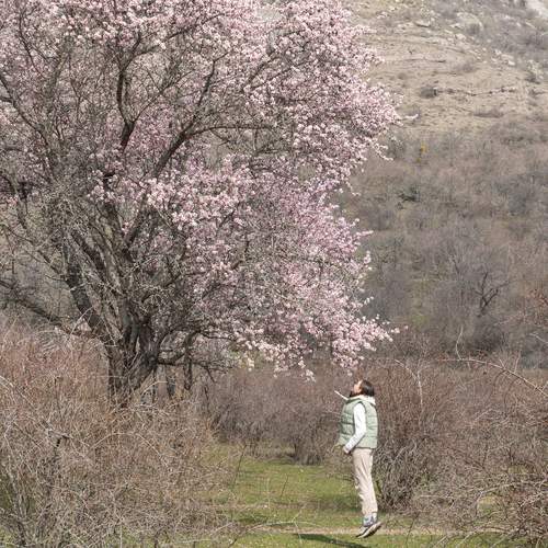 Photo #13692670