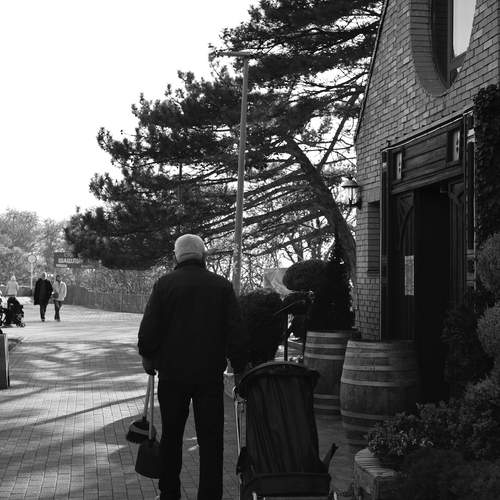 Photo #13692698