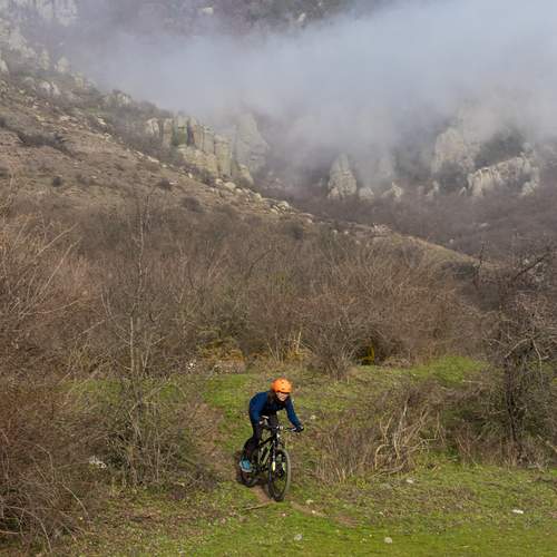 Photo #13692700