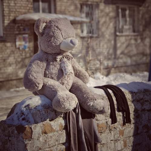 Photo #13692704
