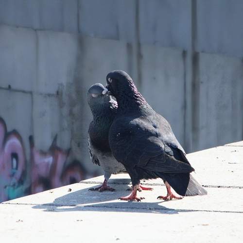 Photo #13692705