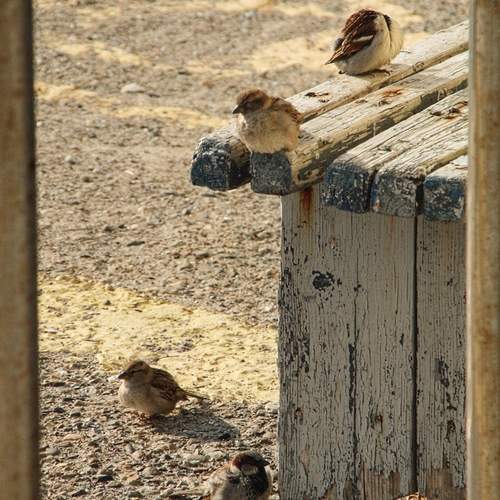 Photo #13692706