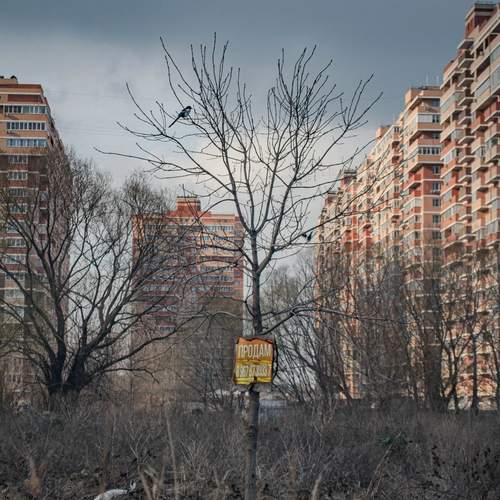 Photo #13692716