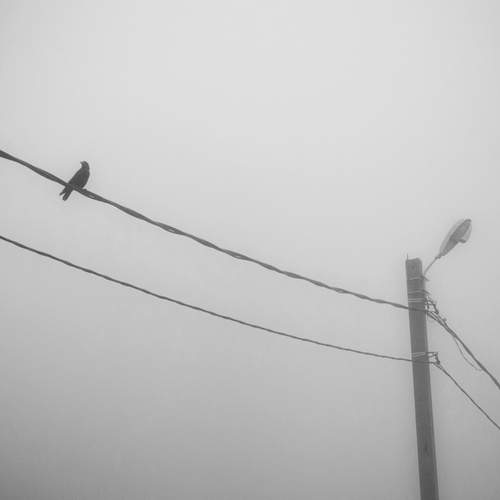 Photo #13692717