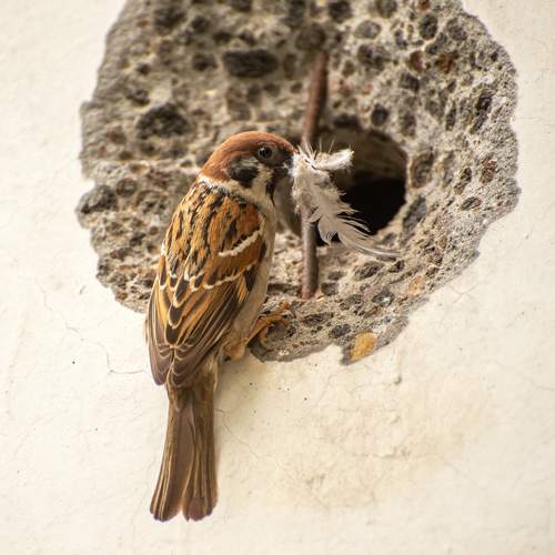 Photo #13692751