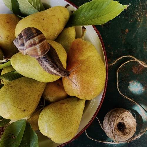 Photo #13692752