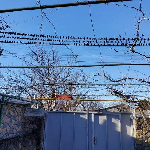 Photo #13692768