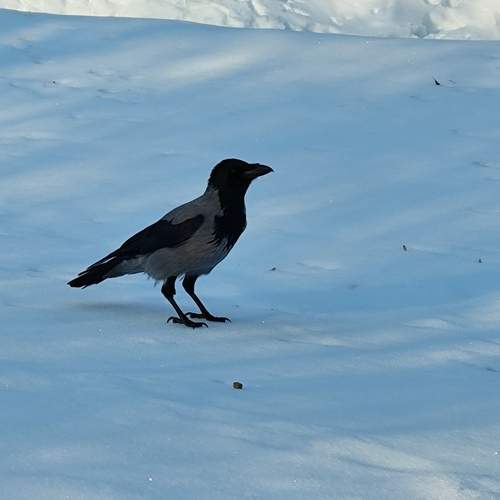 Photo #13692804
