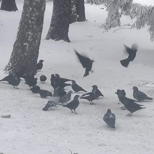 Photo #13692806