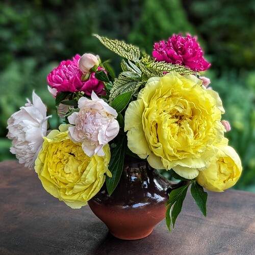 Photo #13692847