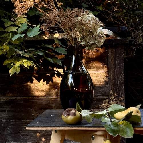 Photo #13692868