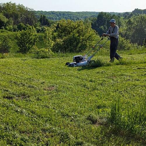 Photo #13692951