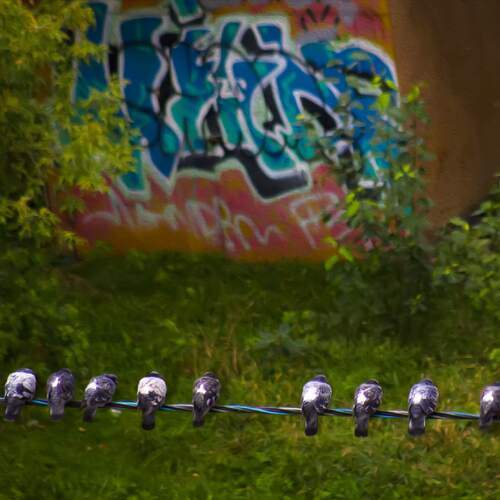 Photo #13692982