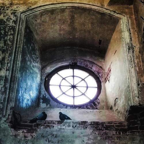 Photo #13693000