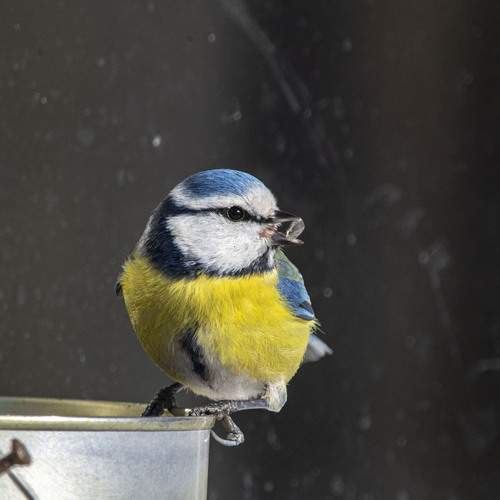 Photo #13693024