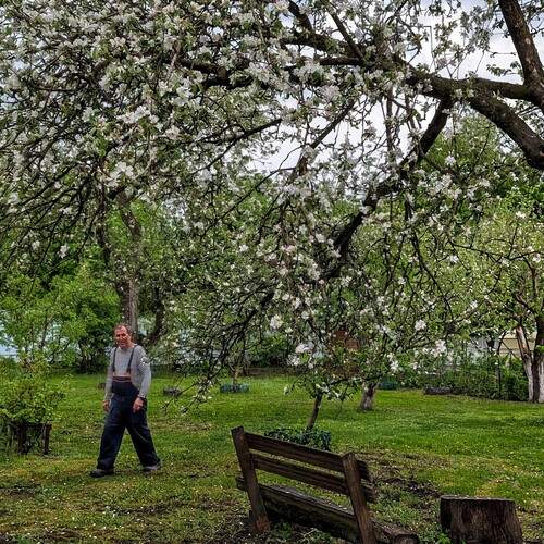 Photo #13693029