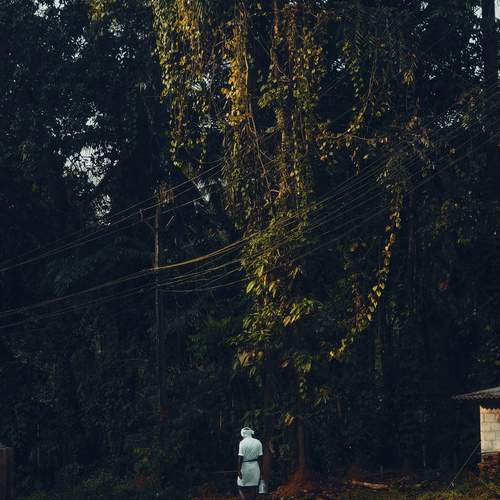 Photo #13693040