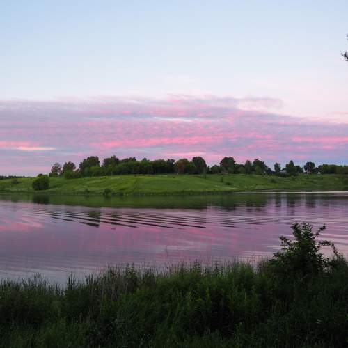 Photo #13693092