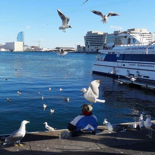 Photo #13693112