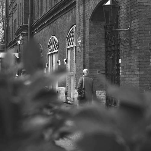 Photo #13693115