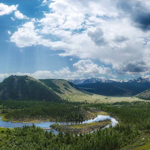 Photo #13693124