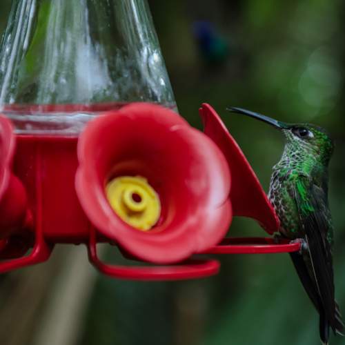 Photo #13693155