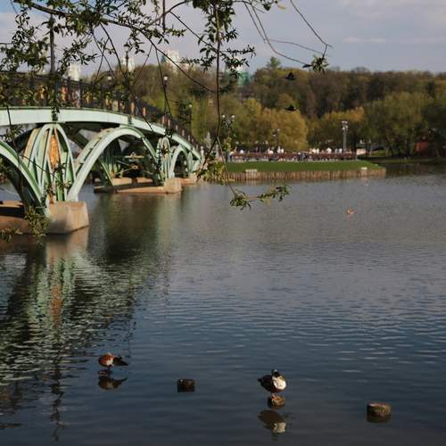 Photo #13693170
