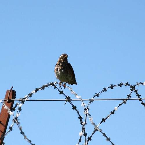 Photo #13693212