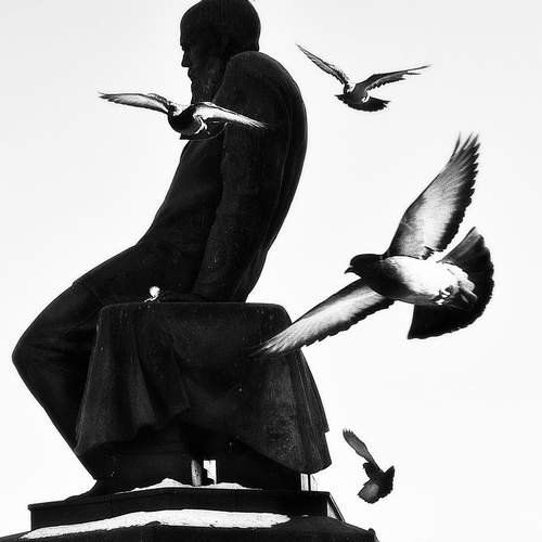 Photo #13693226