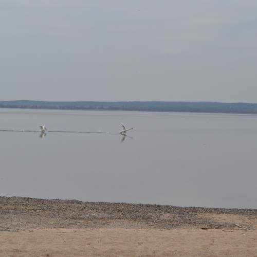 Photo #13693235