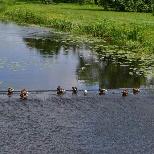 Photo #13693236