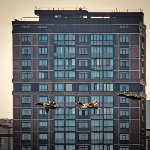 Photo #13693249