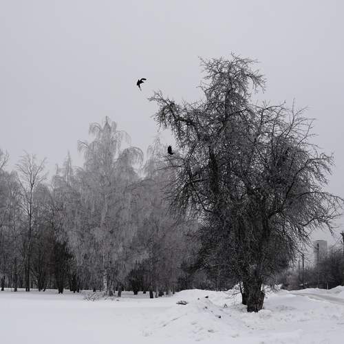 Photo #13693262
