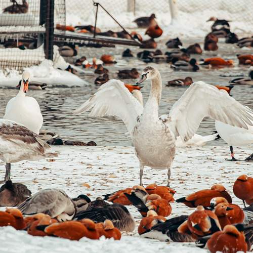 Photo #13693287