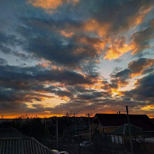 Photo #13693290